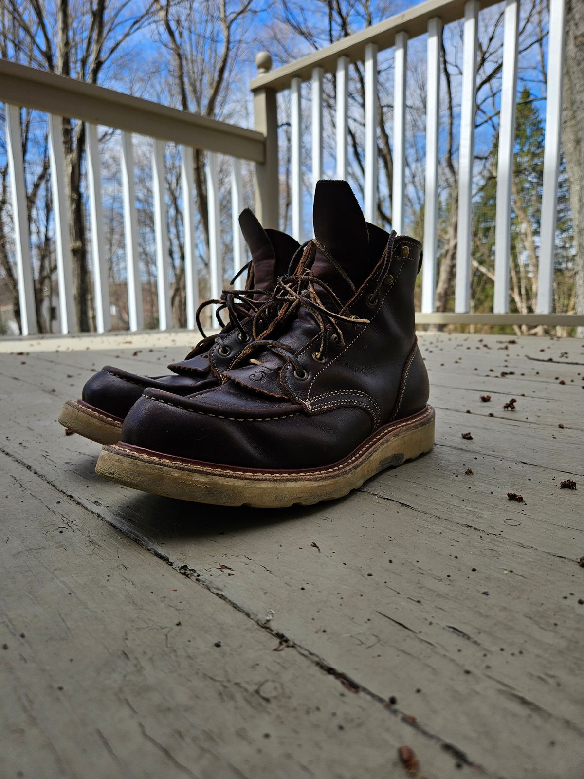 Photo by AJThrash on April 4, 2026 of the Truman Moc Toe in Seidel Bay Double Shot.