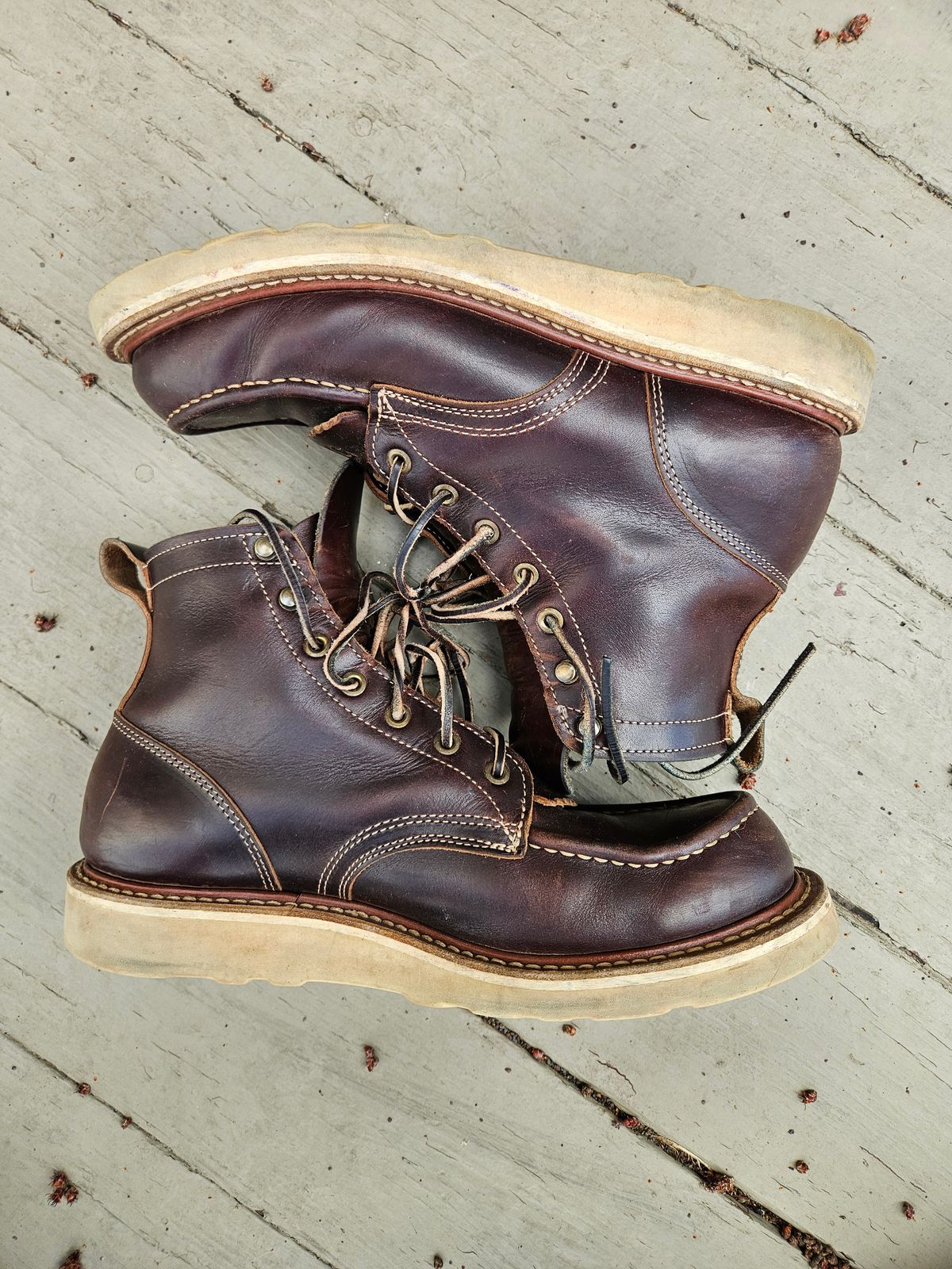 Photo by AJThrash on April 4, 2026 of the Truman Moc Toe in Seidel Bay Double Shot.