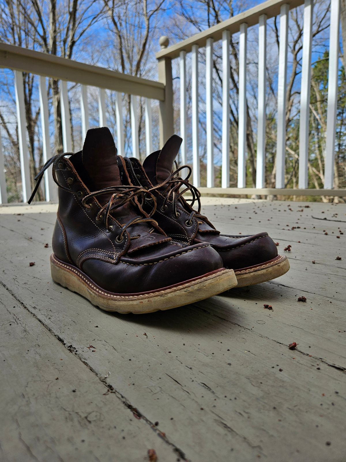 Photo by AJThrash on April 4, 2026 of the Truman Moc Toe in Seidel Bay Double Shot.