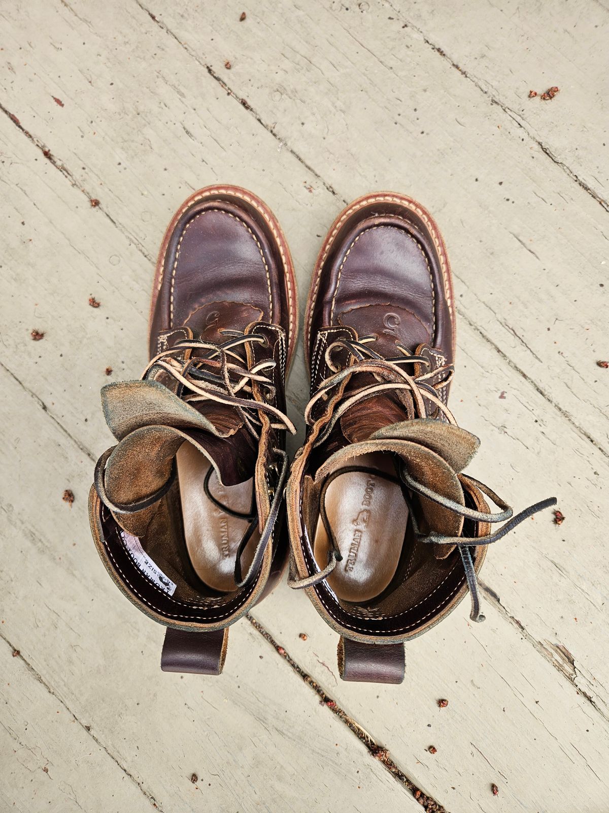 Photo by AJThrash on April 4, 2026 of the Truman Moc Toe in Seidel Bay Double Shot.