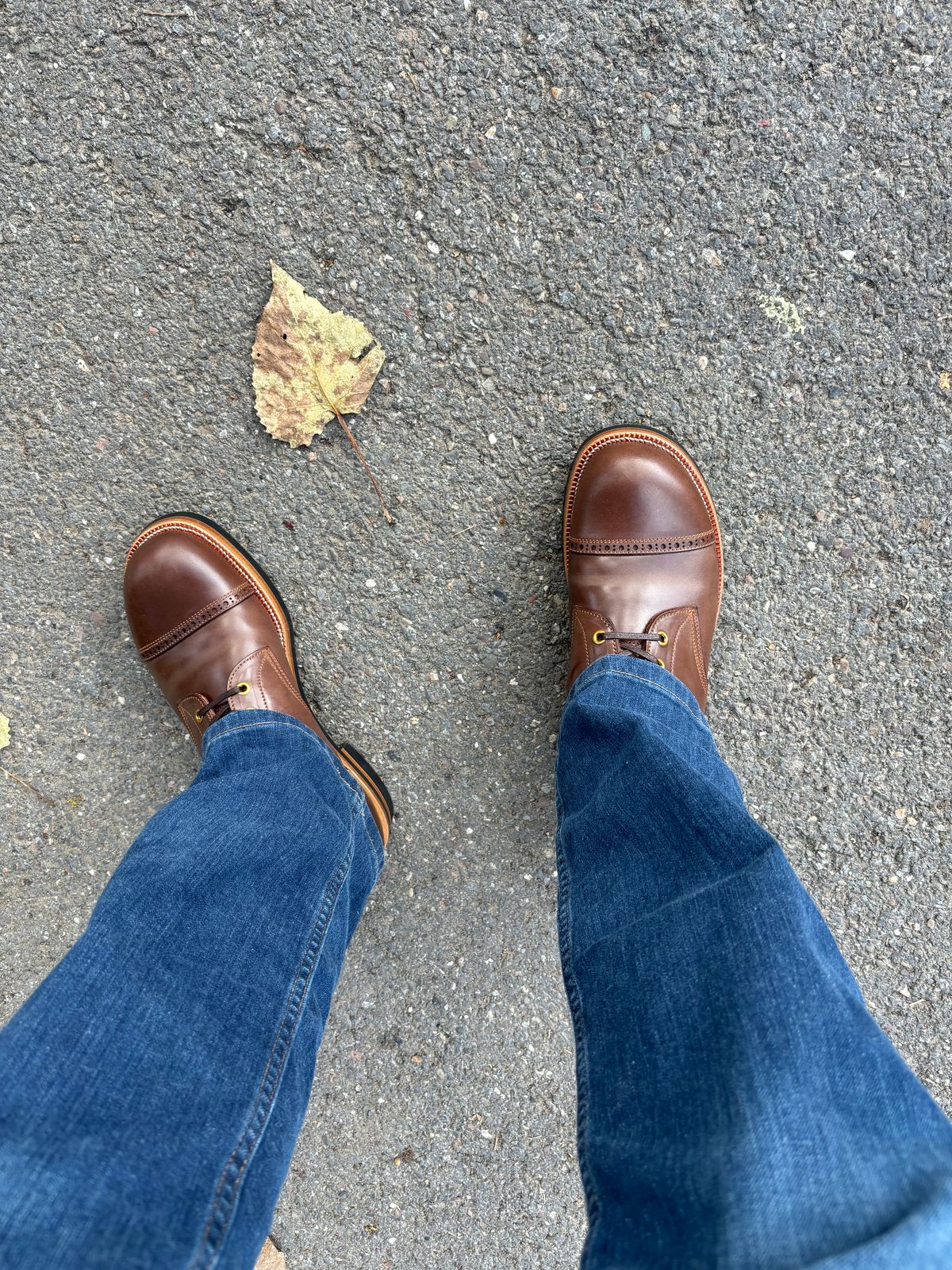 Photo by BootsAndBooks on August 30, 2024 of the Iron Boots 5515 in Maryam Brown Shell Cordovan.