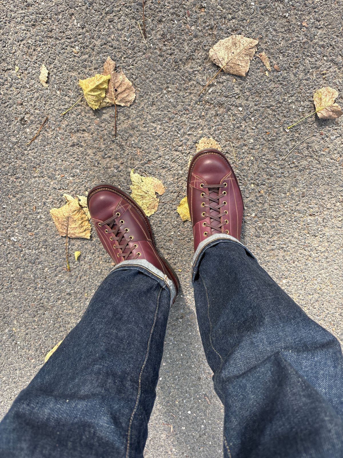 Photo by RawCordedSoul on September 23, 2025 of the Sagara Cordmaster in Burgundy Arboxwax.