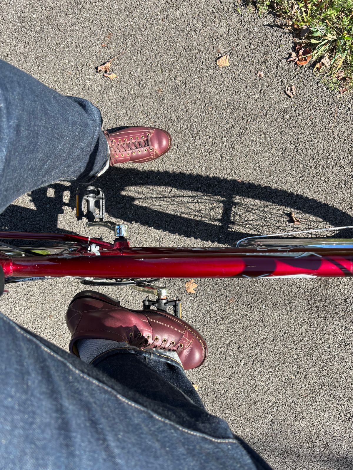 Photo by RawCordedSoul on September 28, 2025 of the Sagara Cordmaster in Burgundy Arboxwax.