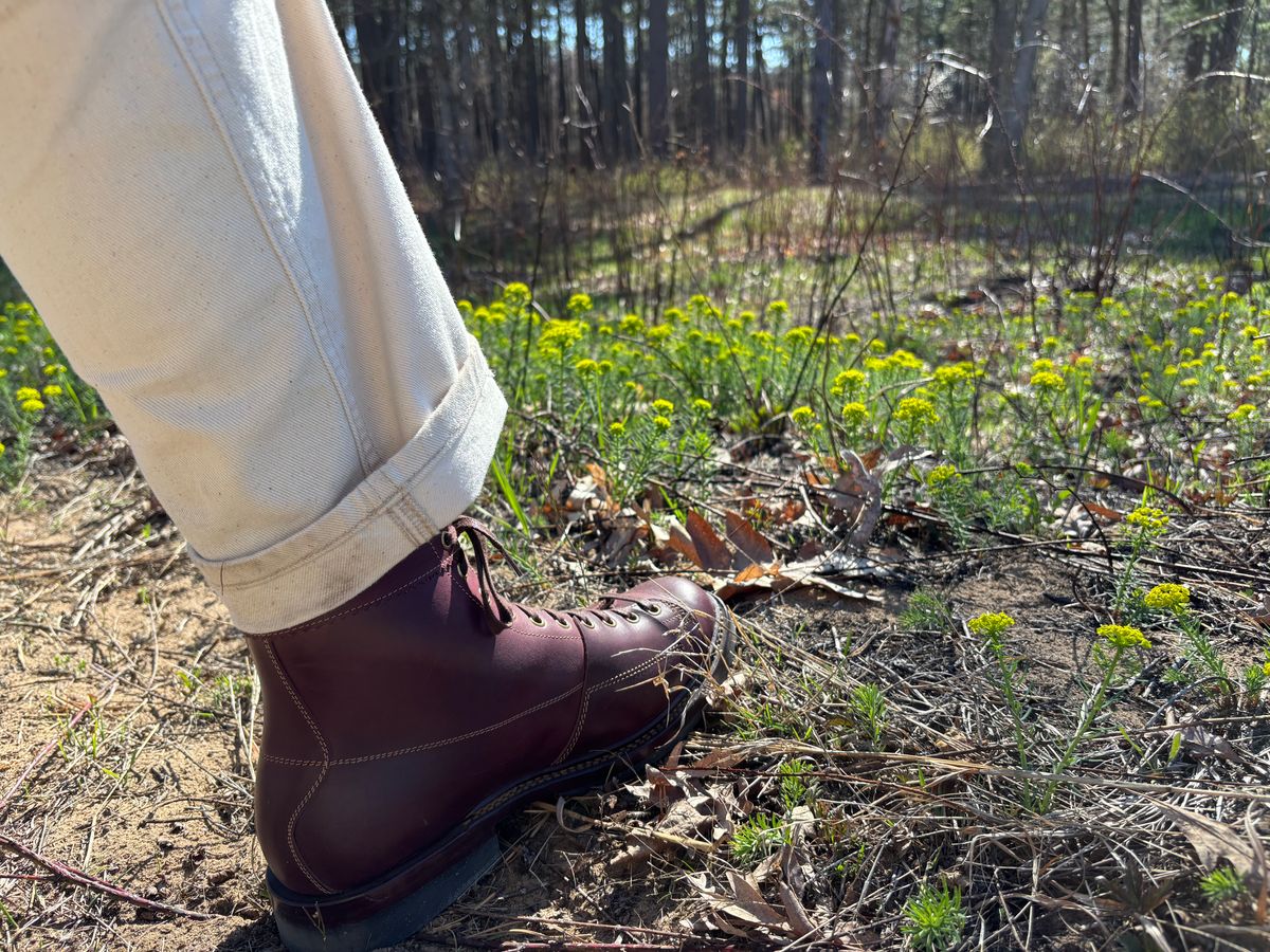 Photo by Asian on April 27, 2026 of the Sagara Cordmaster in Burgundy Arboxwax.