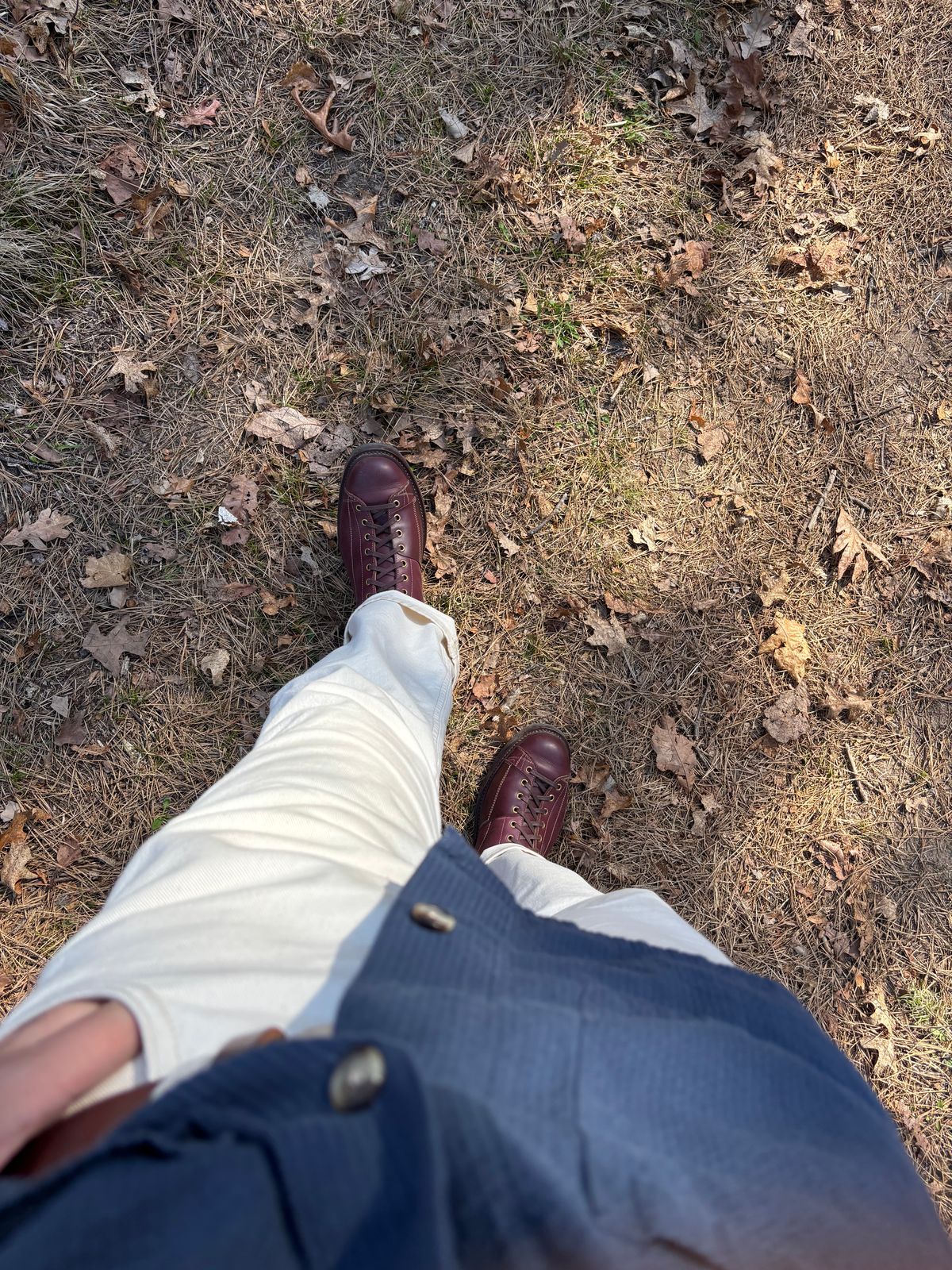 Photo by Asian on April 27, 2026 of the Sagara Cordmaster in Burgundy Arboxwax.