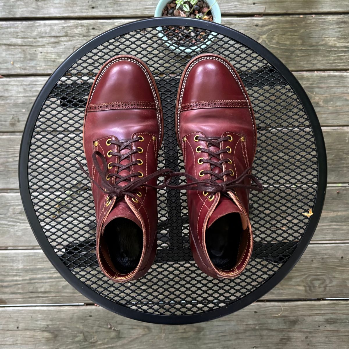 Photo by RawCordedSoul on August 11, 2025 of the Iron Boots Devil Dog in Maryam Ruggine Shell Cordovan.