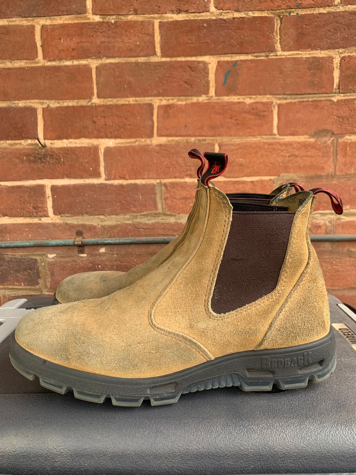 Photo by TheMorrie on October 5, 2025 of the Redback Bobcat in Banana Suede.