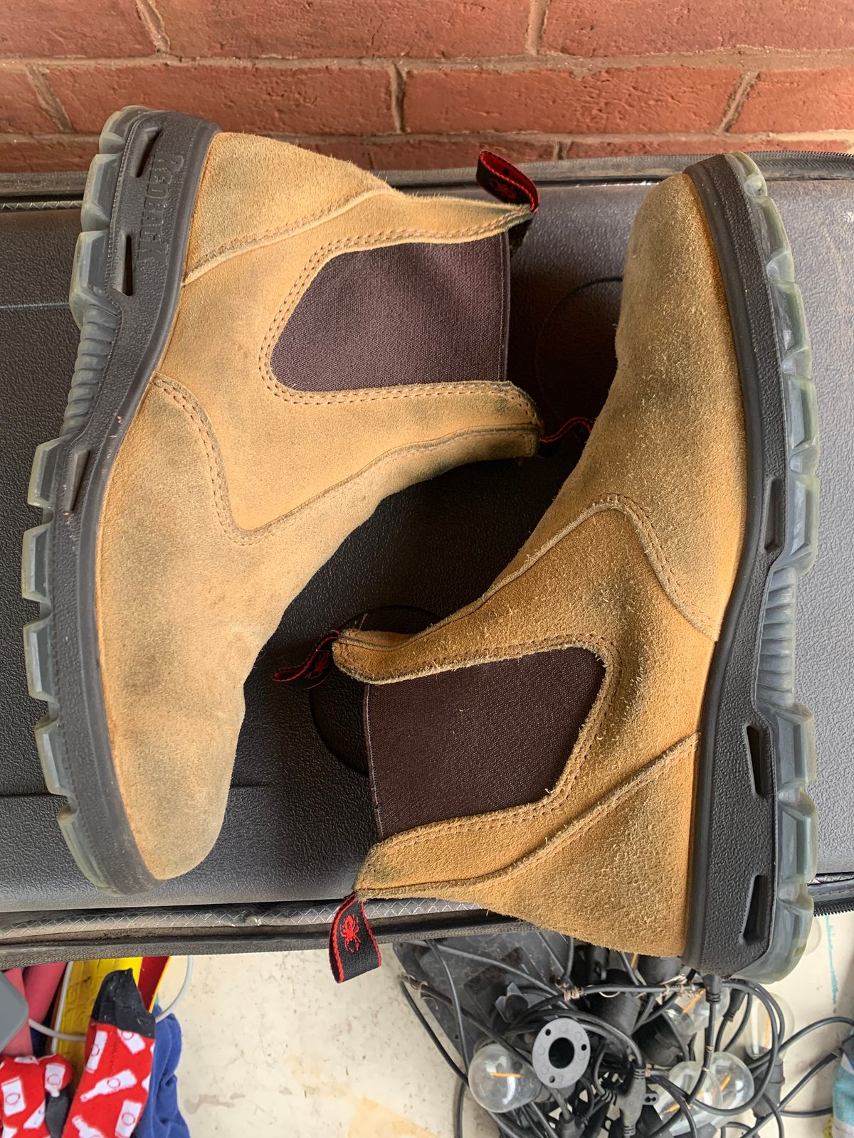 Photo by TheMorrie on October 5, 2025 of the Redback Bobcat in Banana Suede.