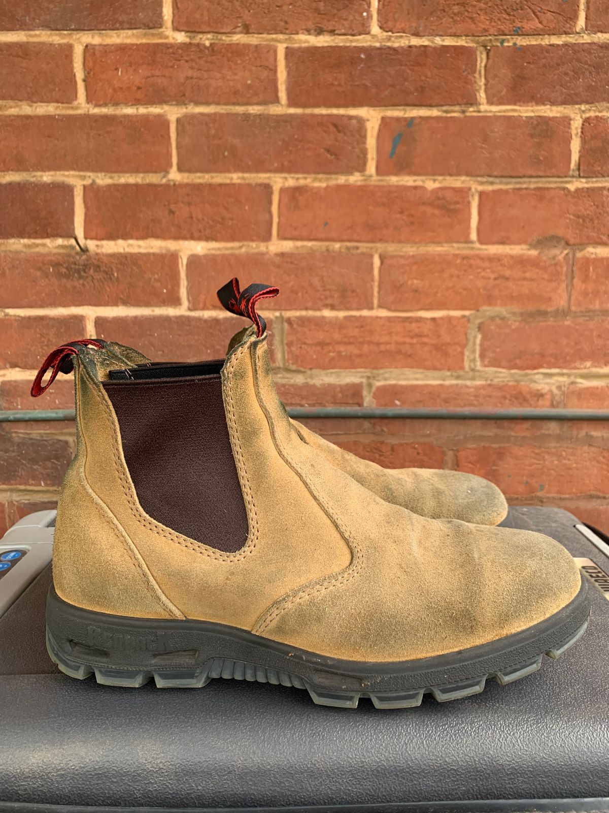 Photo by TheMorrie on October 5, 2025 of the Redback Bobcat in Banana Suede.