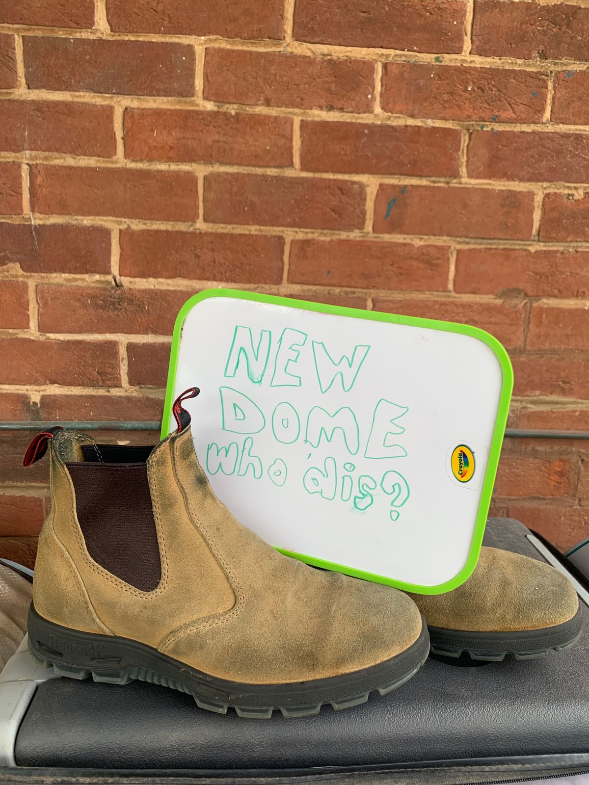 Photo by TheMorrie on October 5, 2025 of the Redback Bobcat in Banana Suede.