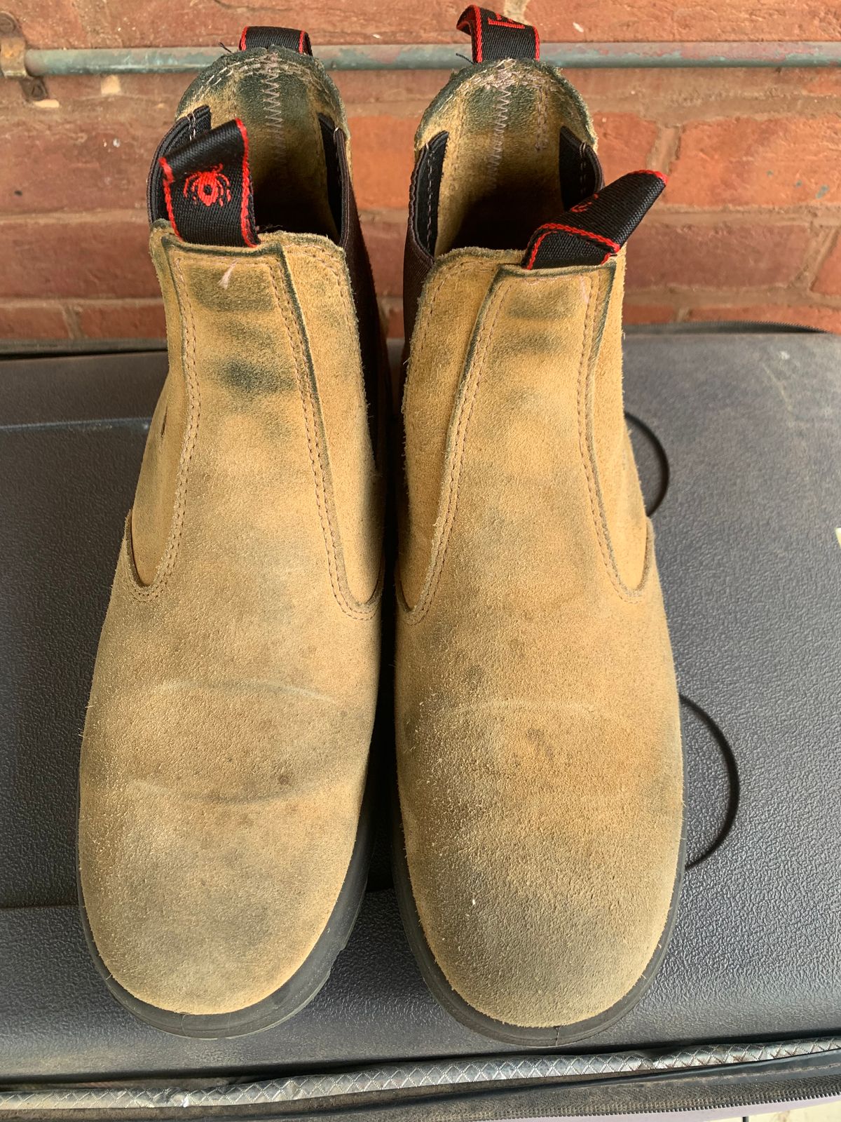 Photo by TheMorrie on October 5, 2025 of the Redback Bobcat in Banana Suede.