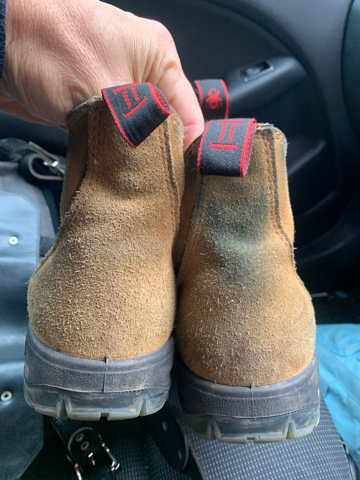 Photo by TheMorrie on November 5, 2025 of the Redback Bobcat in Banana Suede.