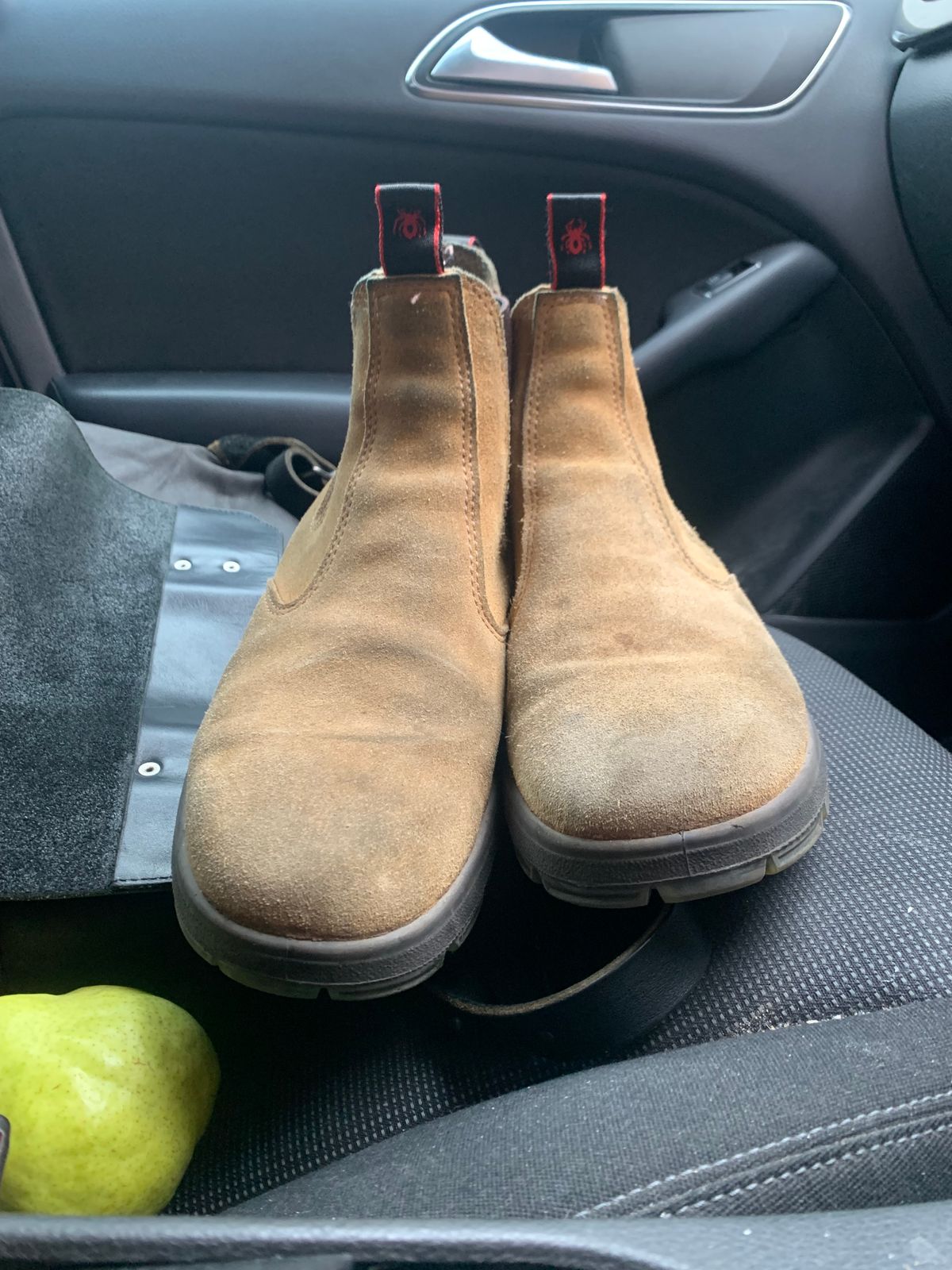 Photo by TheMorrie on November 5, 2025 of the Redback Bobcat in Banana Suede.