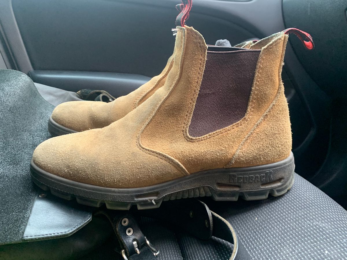 Photo by TheMorrie on November 5, 2025 of the Redback Bobcat in Banana Suede.