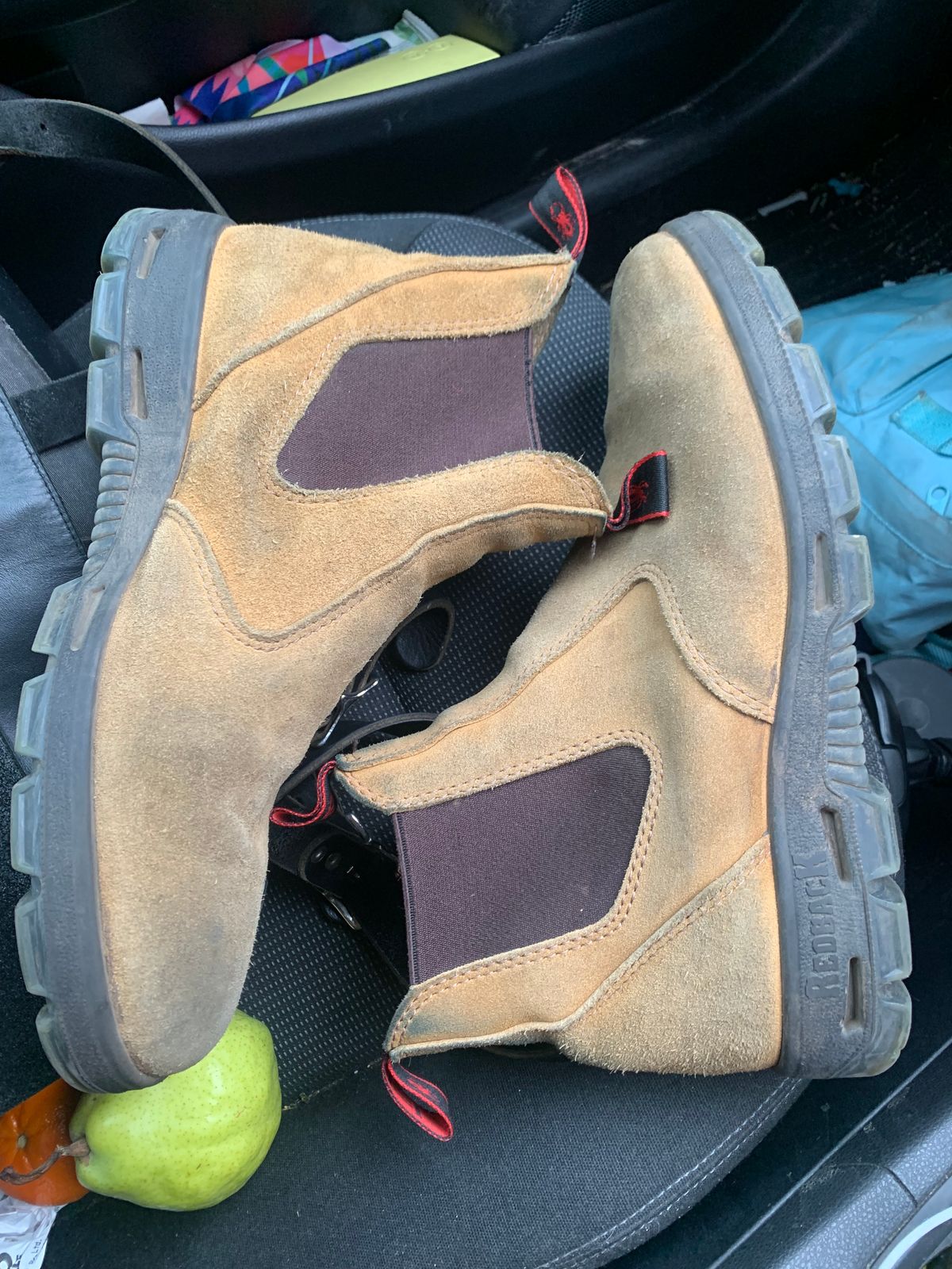 Photo by TheMorrie on November 5, 2025 of the Redback Bobcat in Banana Suede.