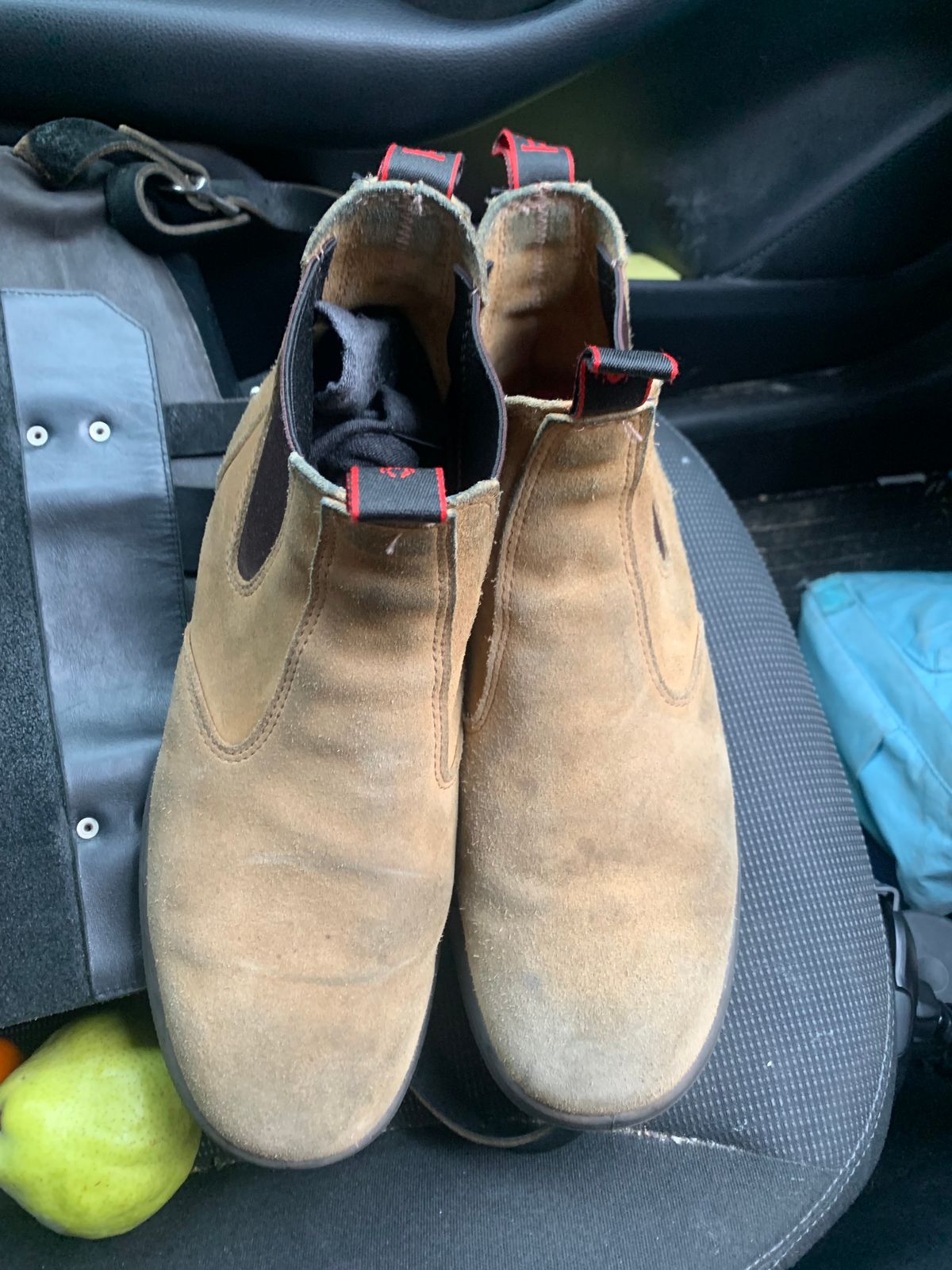 Photo by TheMorrie on November 5, 2025 of the Redback Bobcat in Banana Suede.