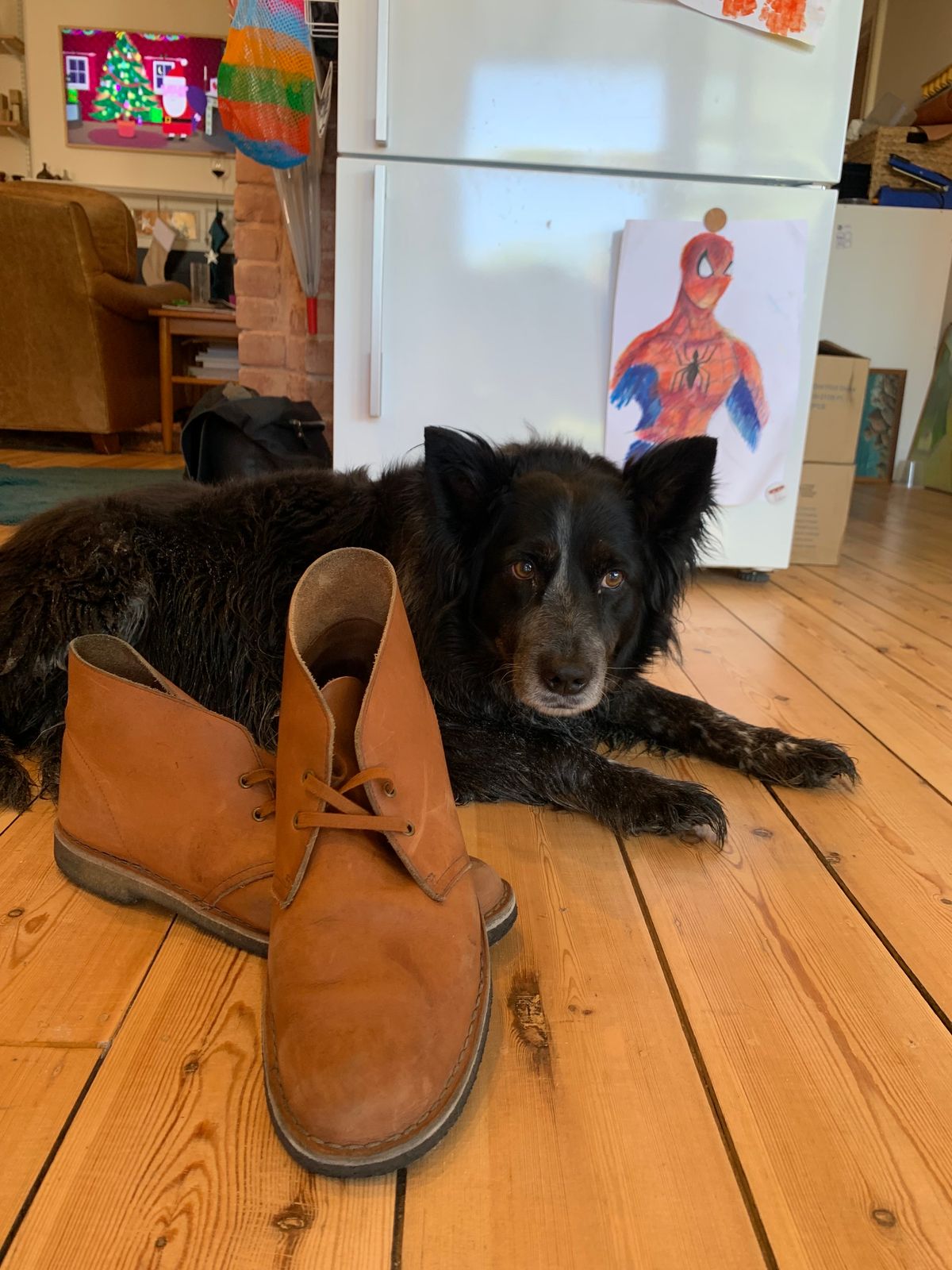 Photo by TheMorrie on December 3, 2023 of the Clarks Desert Boot in Dark Tan.