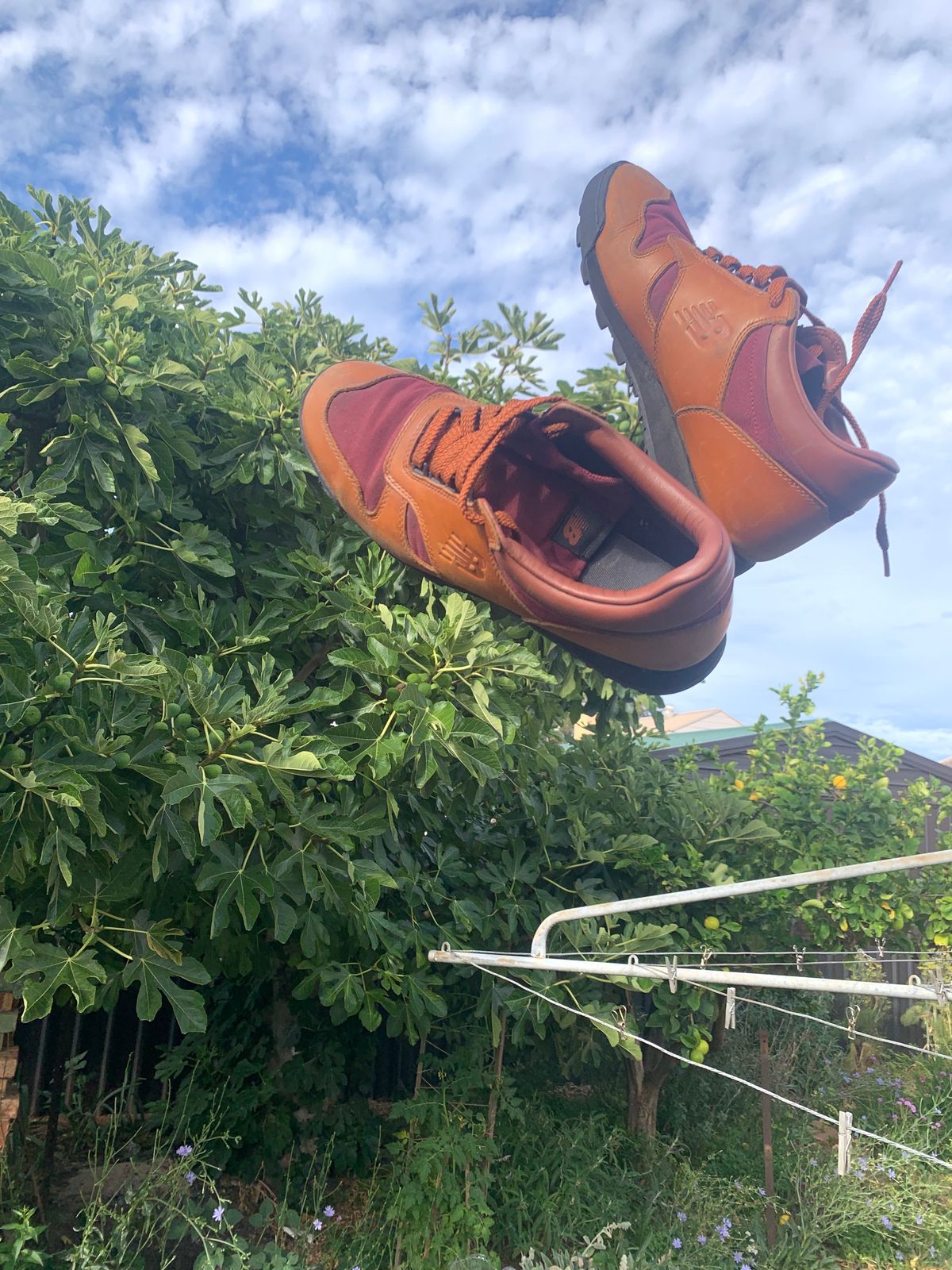 Photo by TheMorrie on January 4, 2025 of the New Balance Rainier in Unknown Natural Veg Tan.