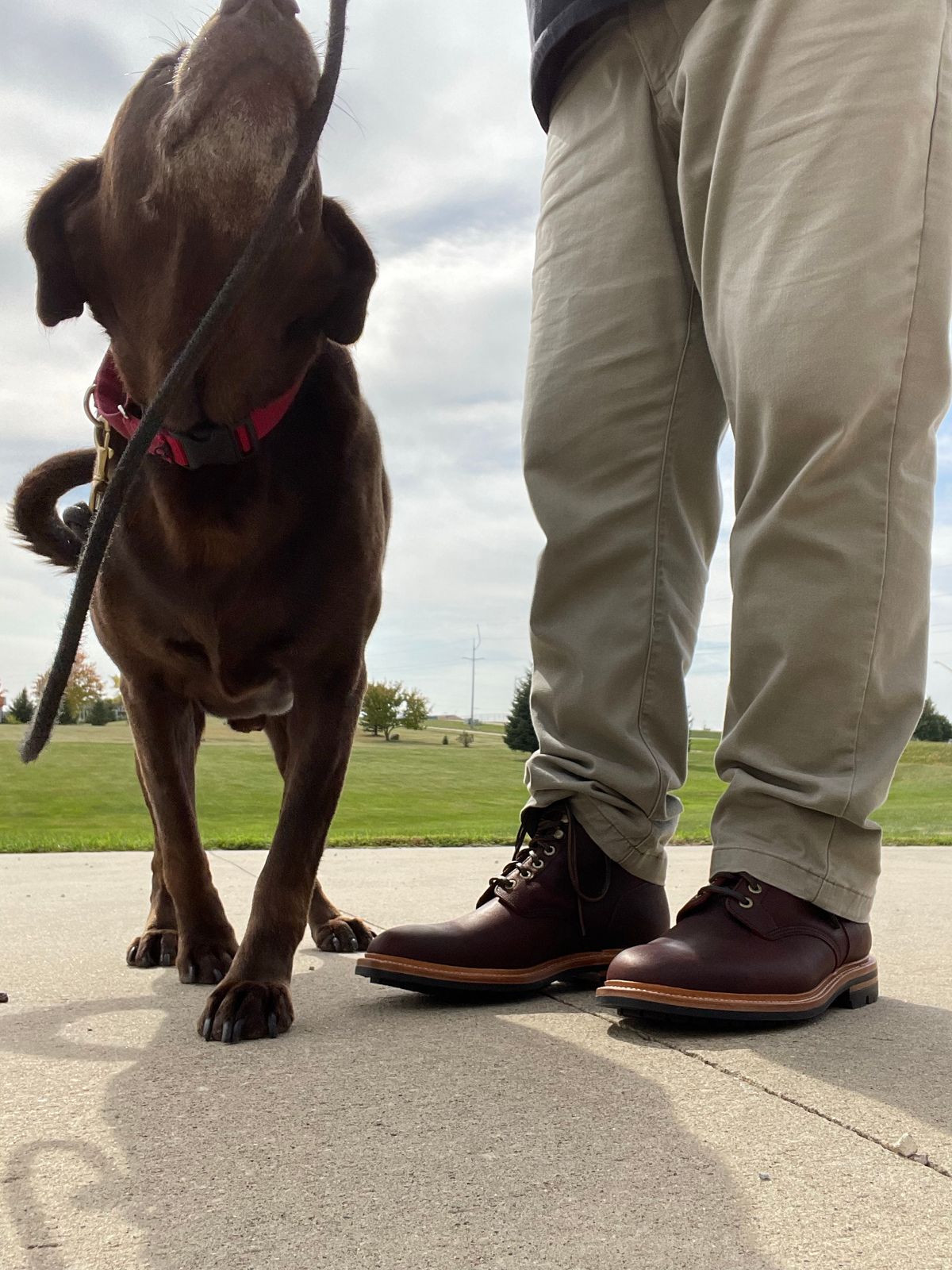 Photo by nasnurse on October 3, 2022 of the Grant Stone Diesel Boot in C.F. Stead Dark Burgundy Classic Kudu.