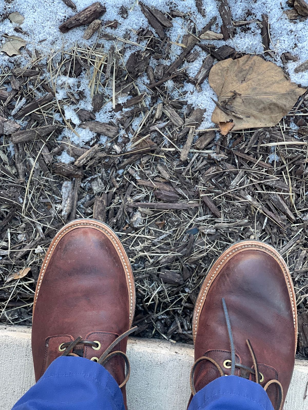 Photo by nasnurse on February 2, 2023 of the Grant Stone Diesel Boot in C.F. Stead Dark Burgundy Classic Kudu.