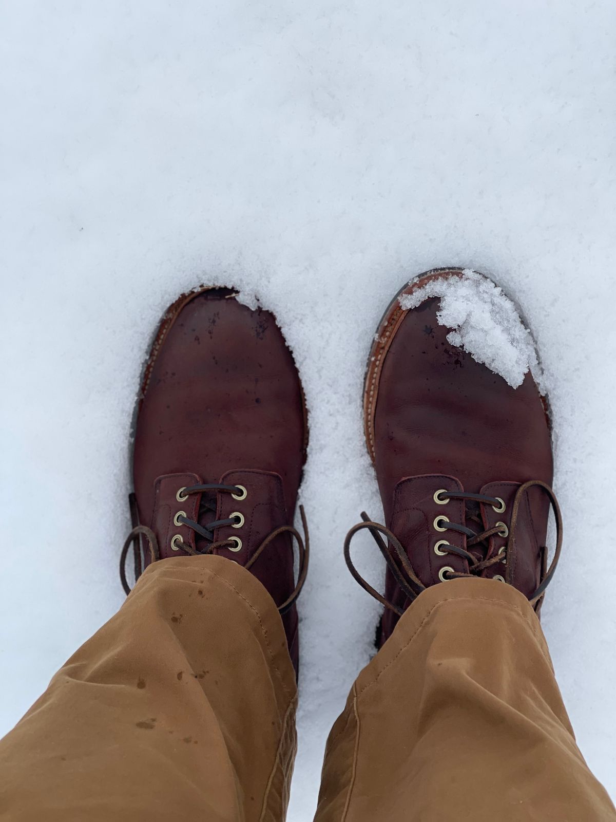 Photo by nasnurse on March 1, 2023 of the Grant Stone Diesel Boot in C.F. Stead Dark Burgundy Classic Kudu.