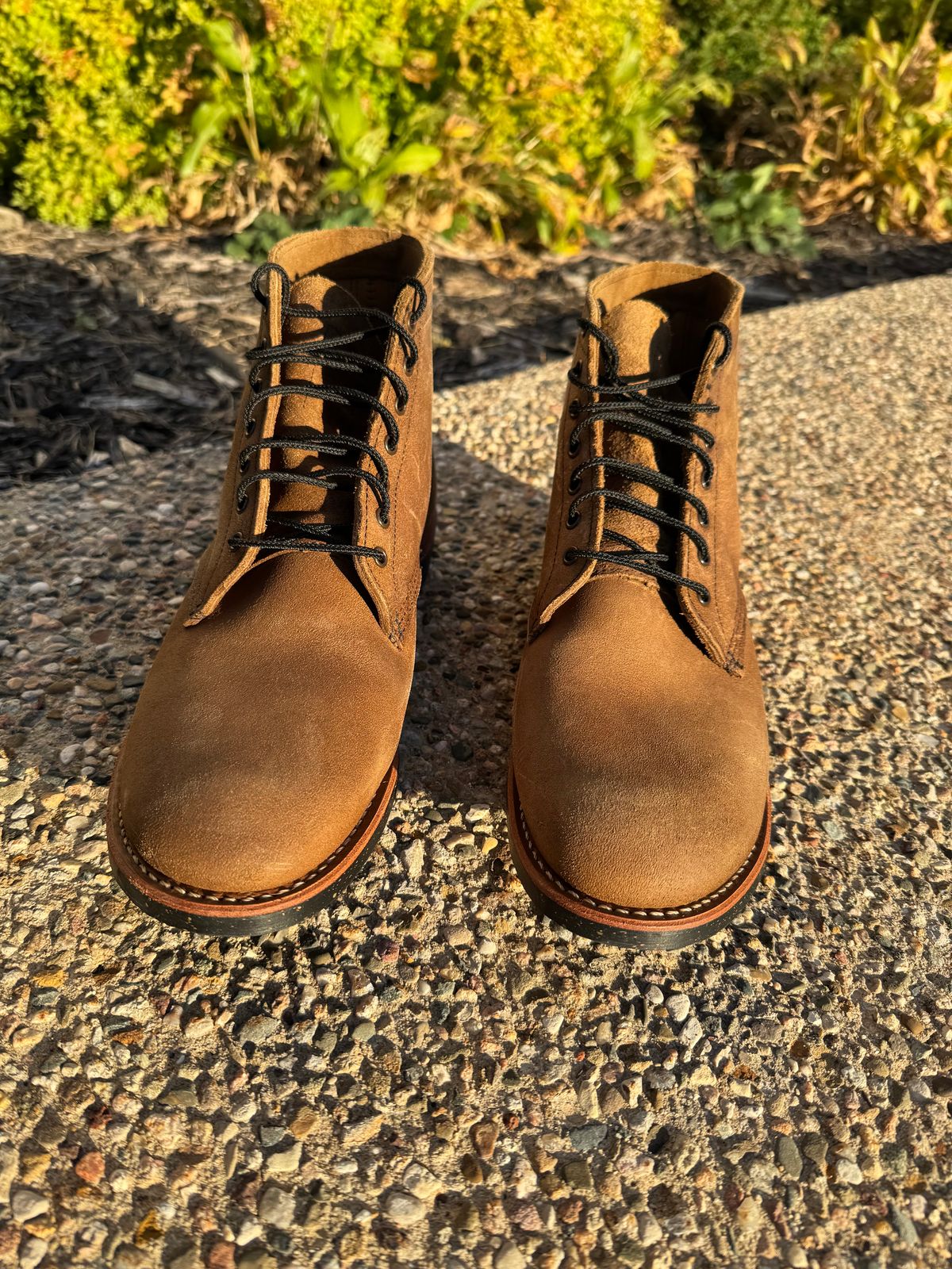 Photo by nasnurse on October 2, 2024 of the Red Wing 8062 in S.B. Foot Olive Mohave Roughout.