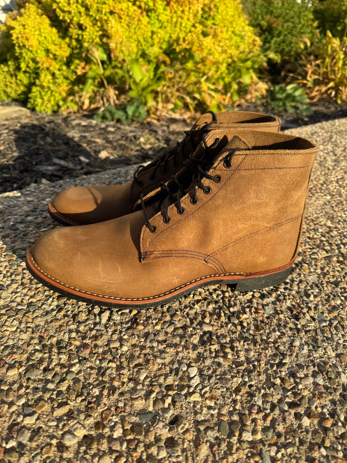 Photo by nasnurse on October 2, 2024 of the Red Wing 8062 in S.B. Foot Olive Mohave Roughout.
