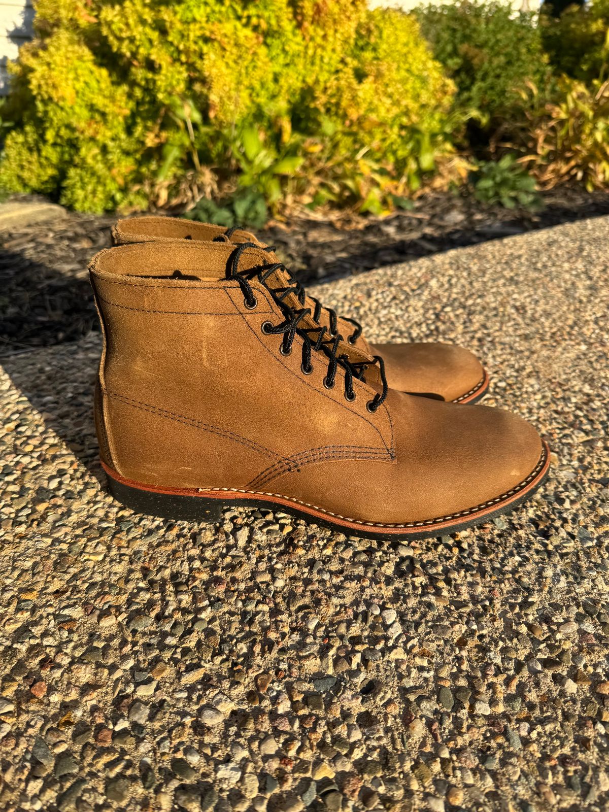 Photo by nasnurse on October 2, 2024 of the Red Wing 8062 in S.B. Foot Olive Mohave Roughout.