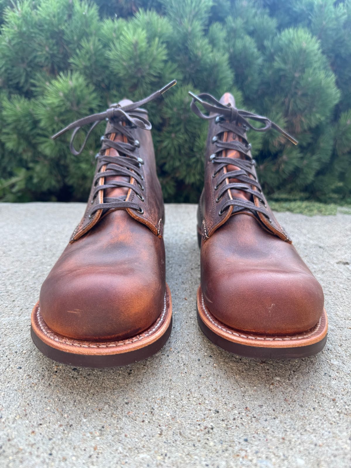 Photo by nasnurse on September 26, 2025 of the Red Wing Blacksmith in S.B. Foot Copper Rough and Tough.
