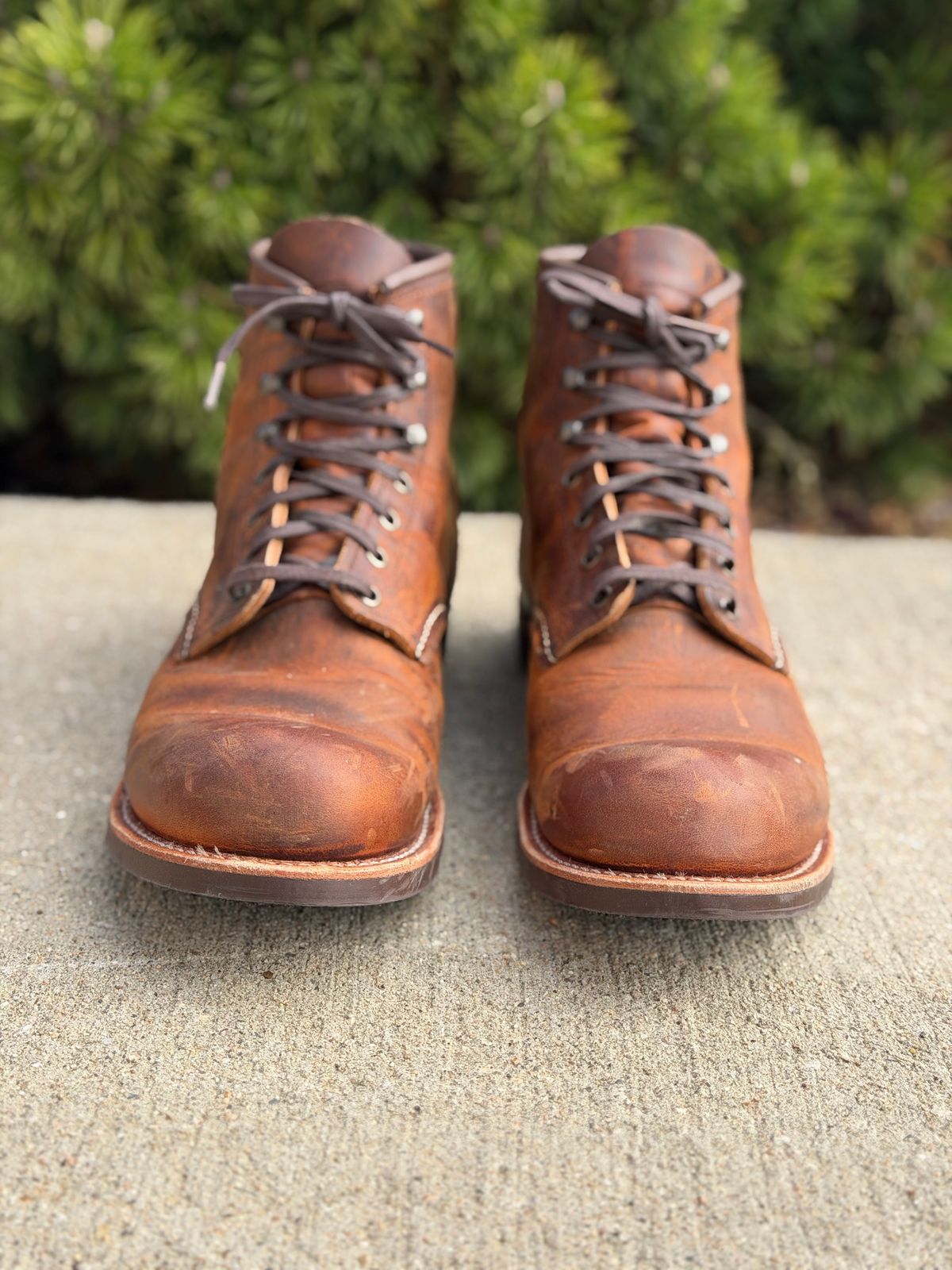 Photo by nasnurse on November 1, 2025 of the Red Wing Blacksmith in S.B. Foot Copper Rough and Tough.