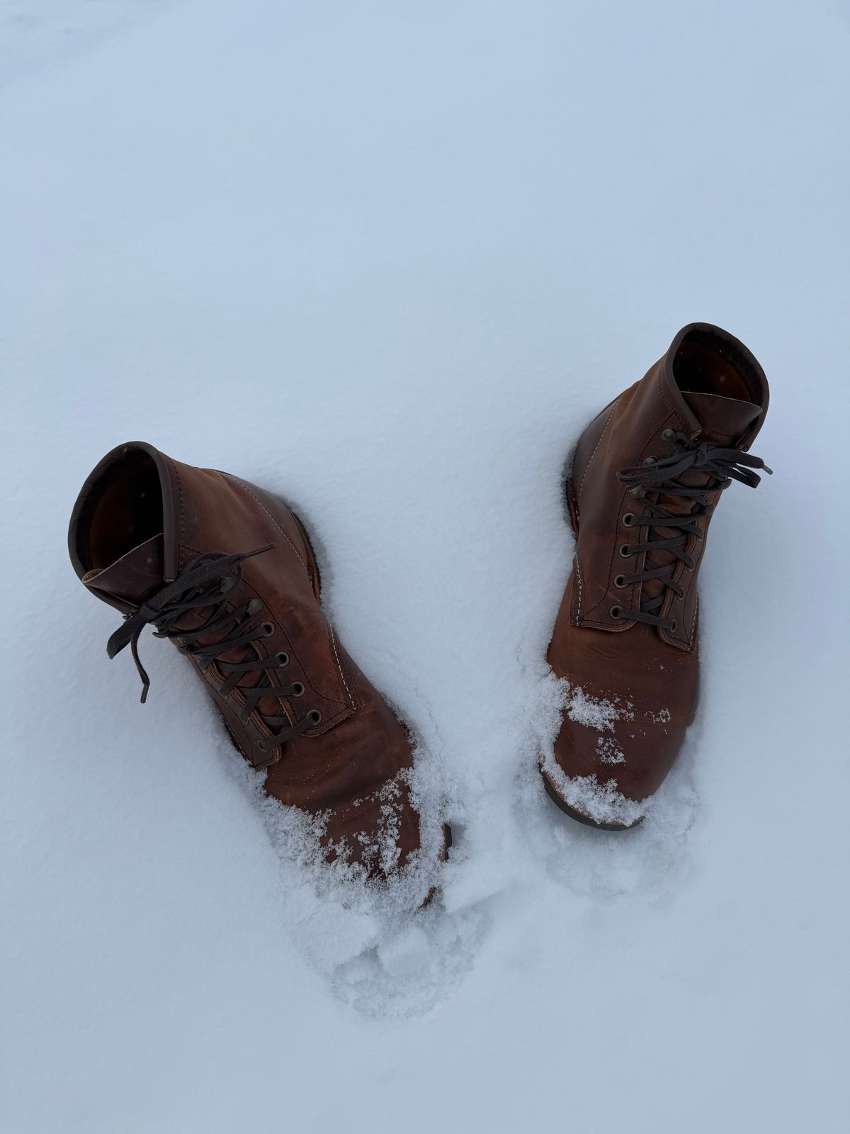 Photo by nasnurse on December 2, 2025 of the Red Wing Blacksmith in S.B. Foot Copper Rough and Tough.