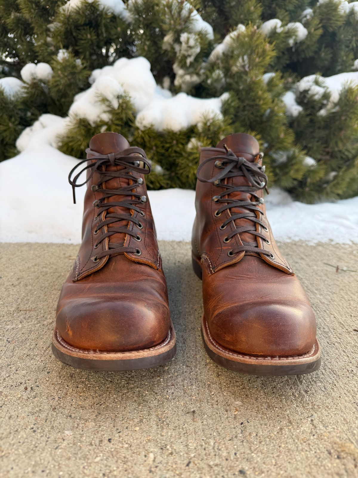 Photo by nasnurse on January 2, 2026 of the Red Wing Blacksmith in S.B. Foot Copper Rough and Tough.