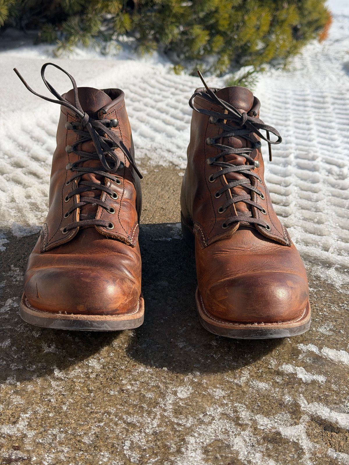 Photo by nasnurse on February 2, 2026 of the Red Wing Blacksmith in S.B. Foot Copper Rough and Tough.
