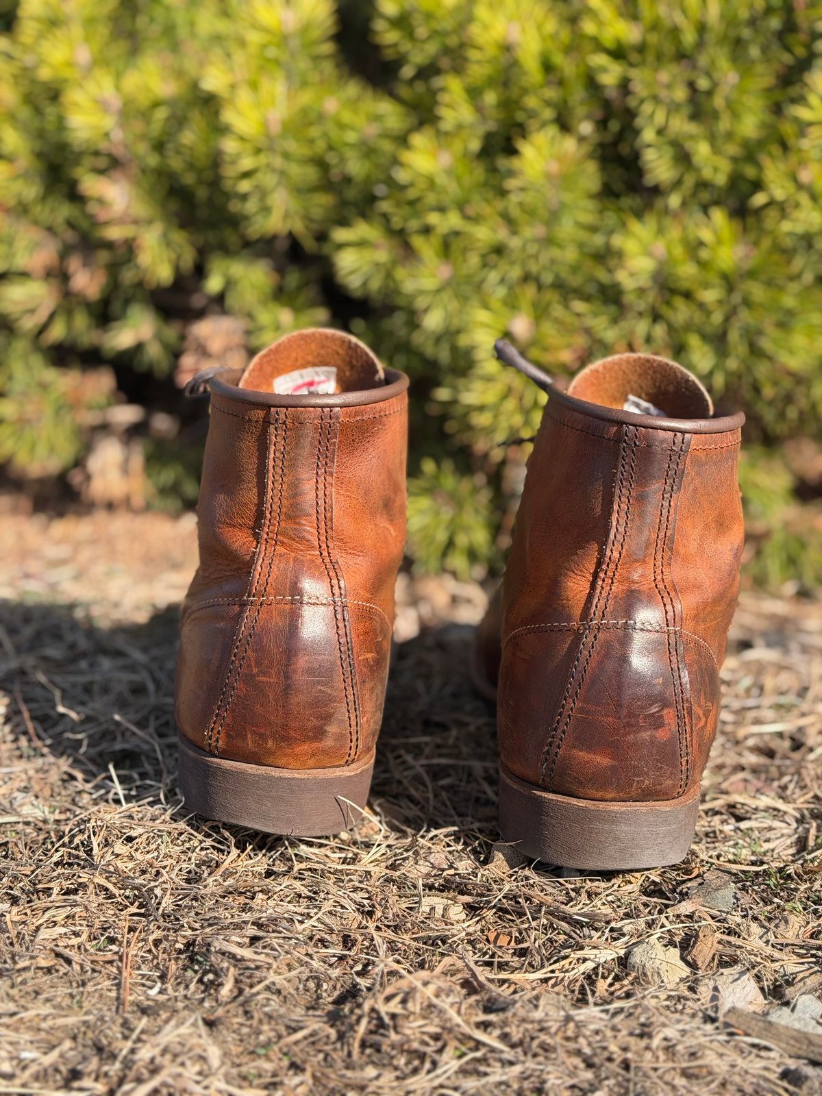 Photo by nasnurse on April 1, 2026 of the Red Wing Blacksmith in S.B. Foot Copper Rough and Tough.