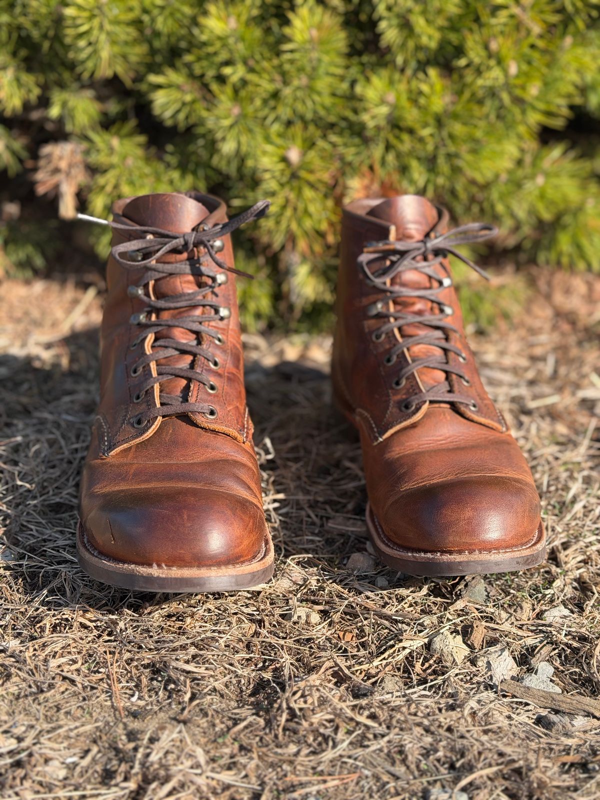 Photo by nasnurse on April 1, 2026 of the Red Wing Blacksmith in S.B. Foot Copper Rough and Tough.