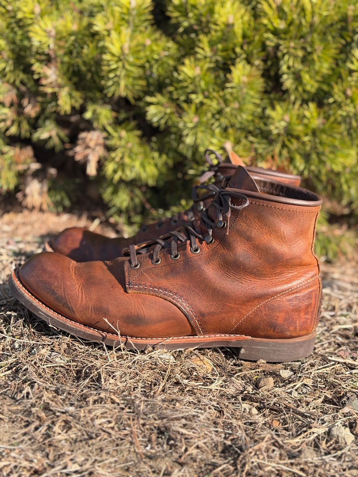 Photo by nasnurse on April 1, 2026 of the Red Wing Blacksmith in S.B. Foot Copper Rough and Tough.