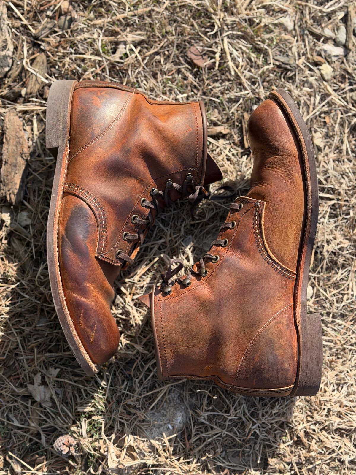 Photo by nasnurse on April 1, 2026 of the Red Wing Blacksmith in S.B. Foot Copper Rough and Tough.