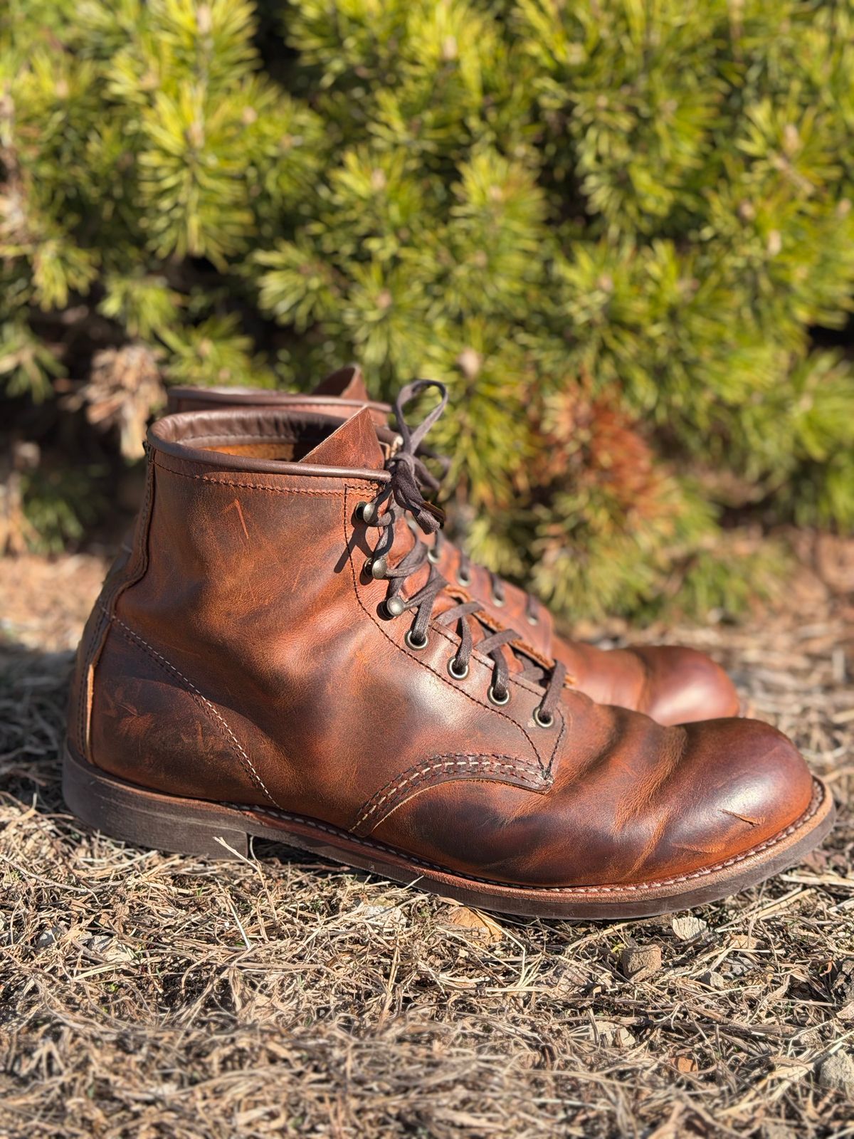 Photo by nasnurse on April 1, 2026 of the Red Wing Blacksmith in S.B. Foot Copper Rough and Tough.