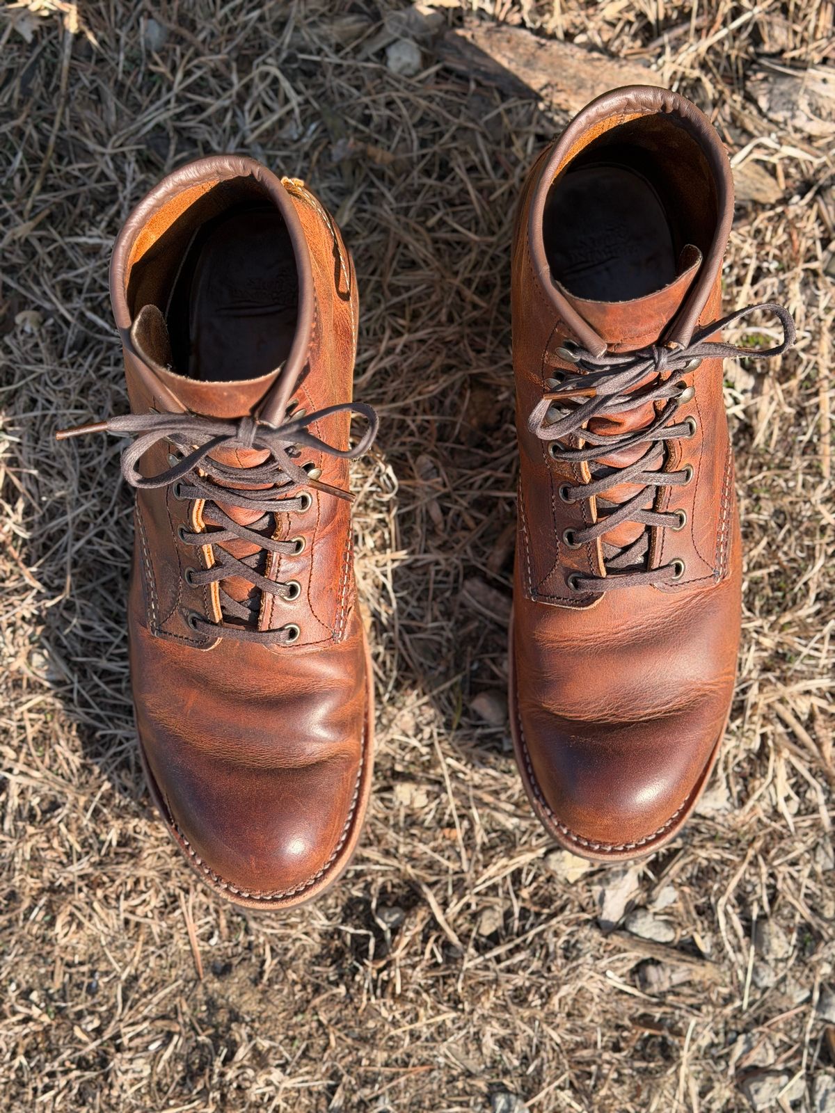 Photo by nasnurse on April 1, 2026 of the Red Wing Blacksmith in S.B. Foot Copper Rough and Tough.