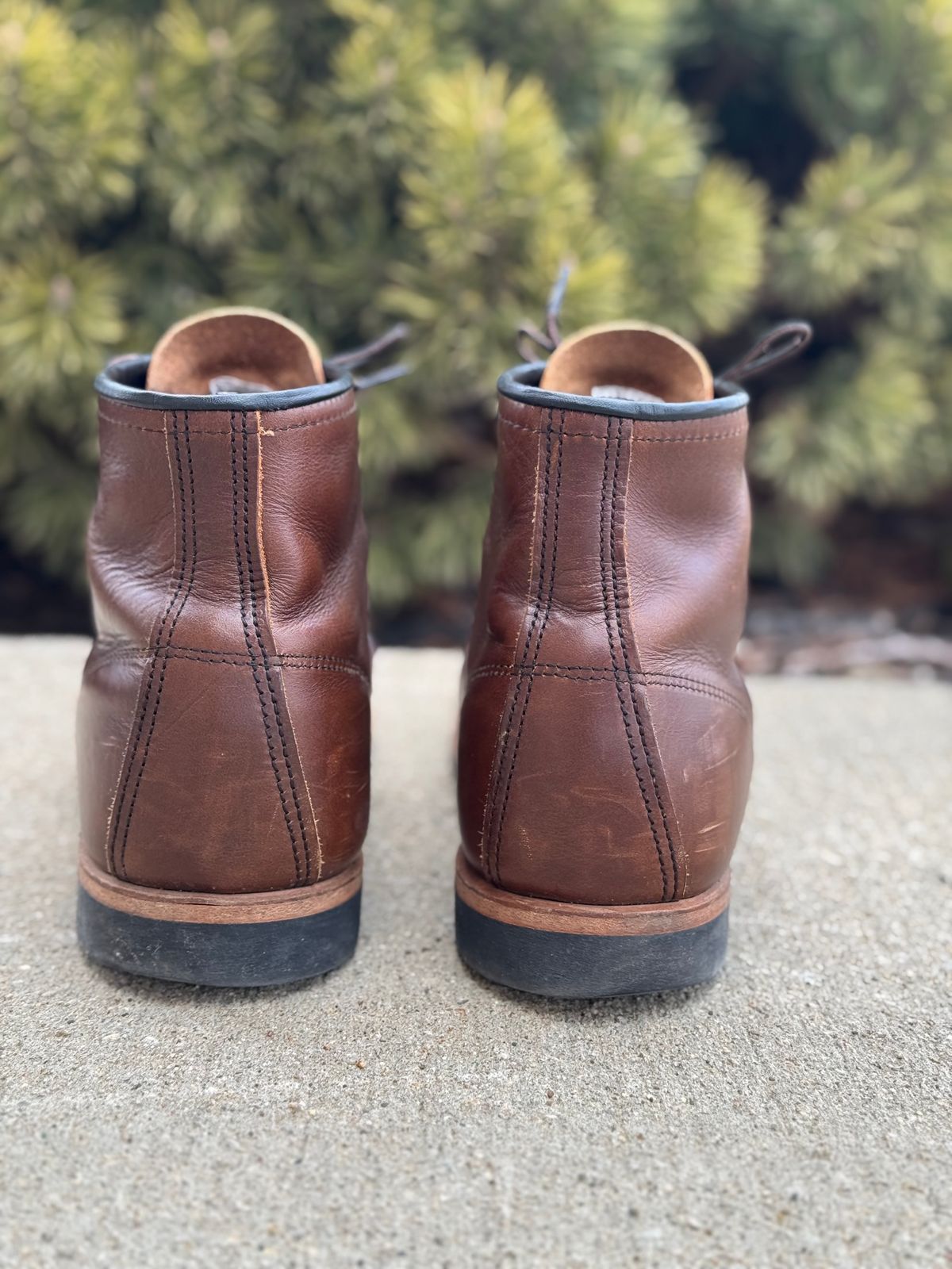 Photo by nasnurse on March 3, 2025 of the Red Wing Beckman in S.B. Foot Cigar Excalibur.