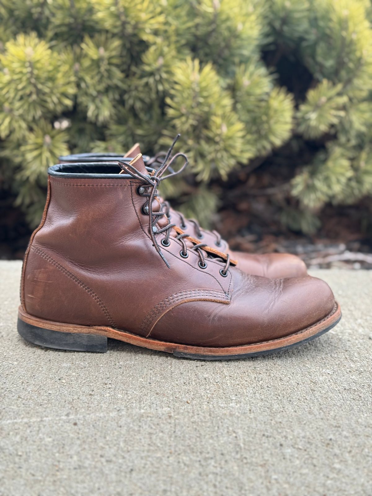 Photo by nasnurse on March 3, 2025 of the Red Wing Beckman in S.B. Foot Cigar Excalibur.