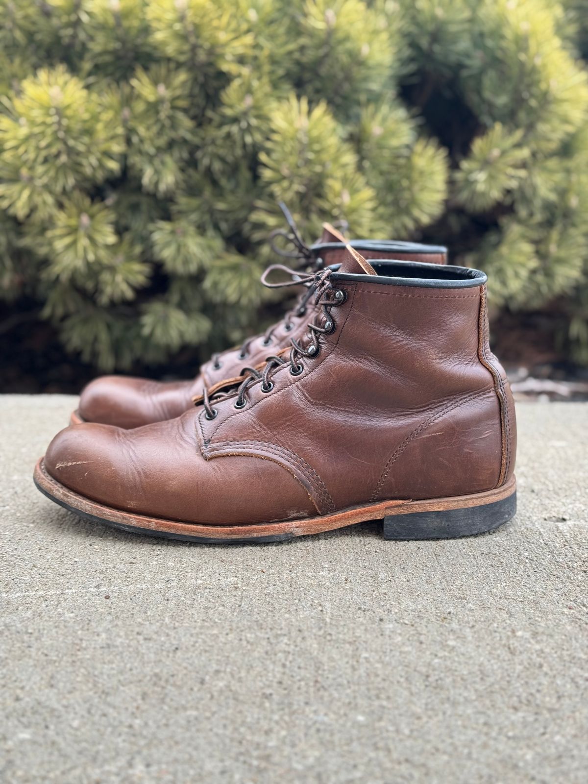 Photo by nasnurse on March 3, 2025 of the Red Wing Beckman in S.B. Foot Cigar Excalibur.