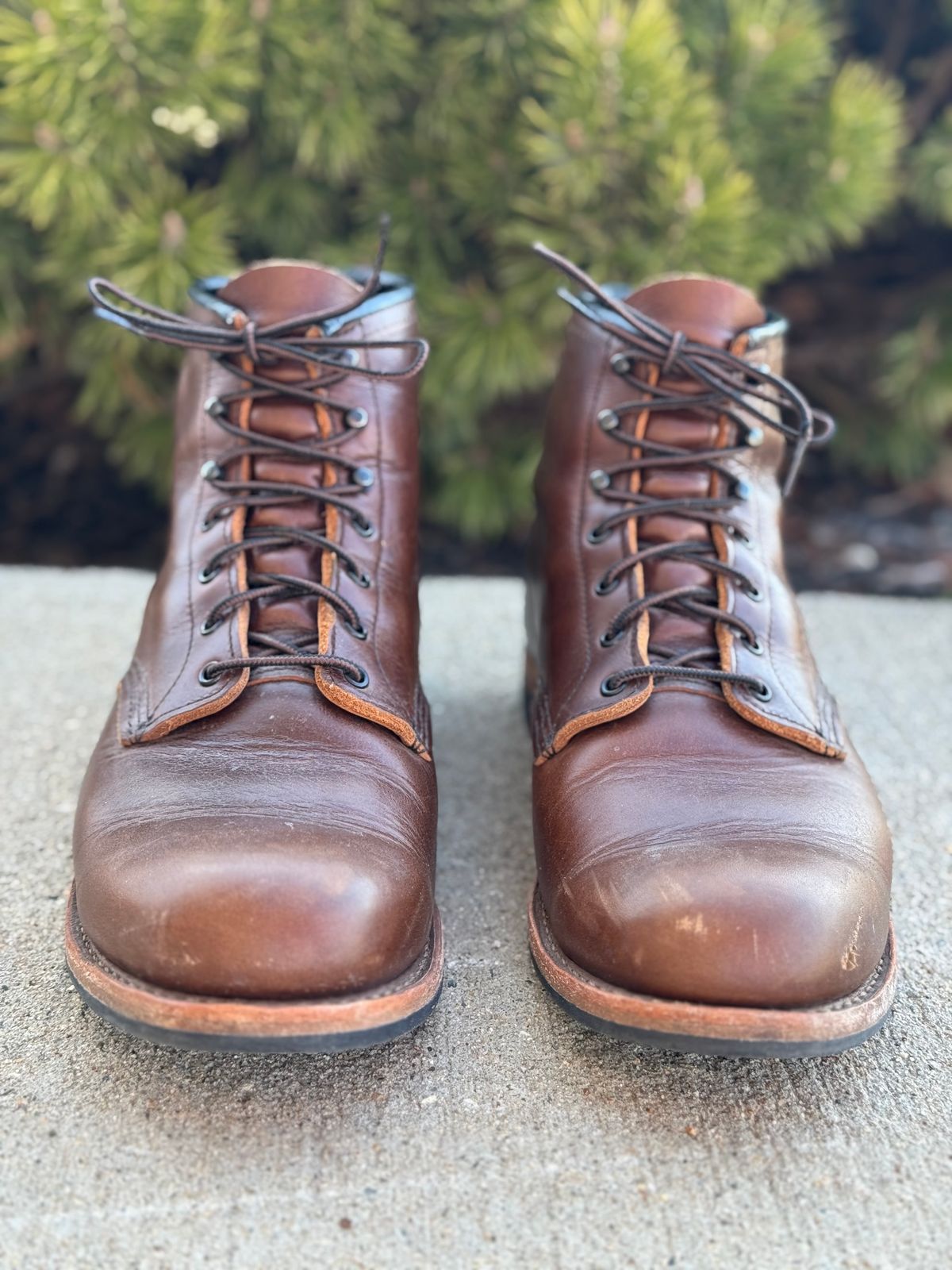 Photo by nasnurse on April 5, 2025 of the Red Wing Beckman in S.B. Foot Cigar Excalibur.