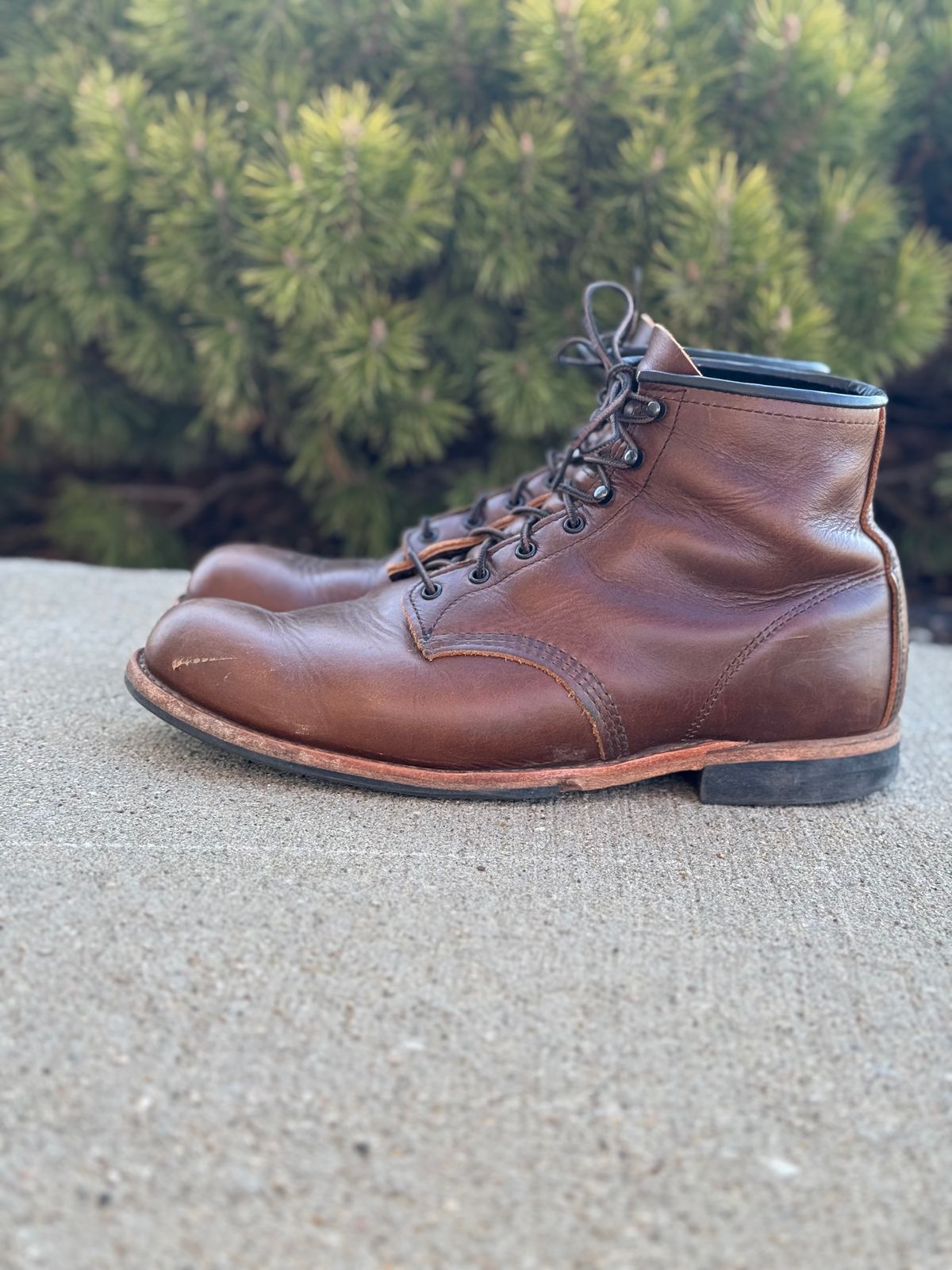 Photo by nasnurse on April 5, 2025 of the Red Wing Beckman in S.B. Foot Cigar Excalibur.