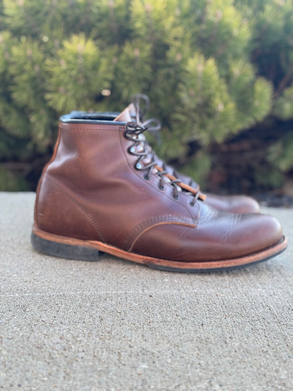 Photo by nasnurse on April 5, 2025 of the Red Wing Beckman in S.B. Foot Cigar Excalibur.