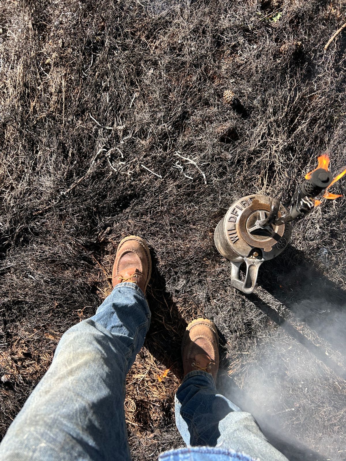 Photo by Lumberman on March 3, 2024 of the Nicks Moc Toe in Seidel 1964 Brown.
