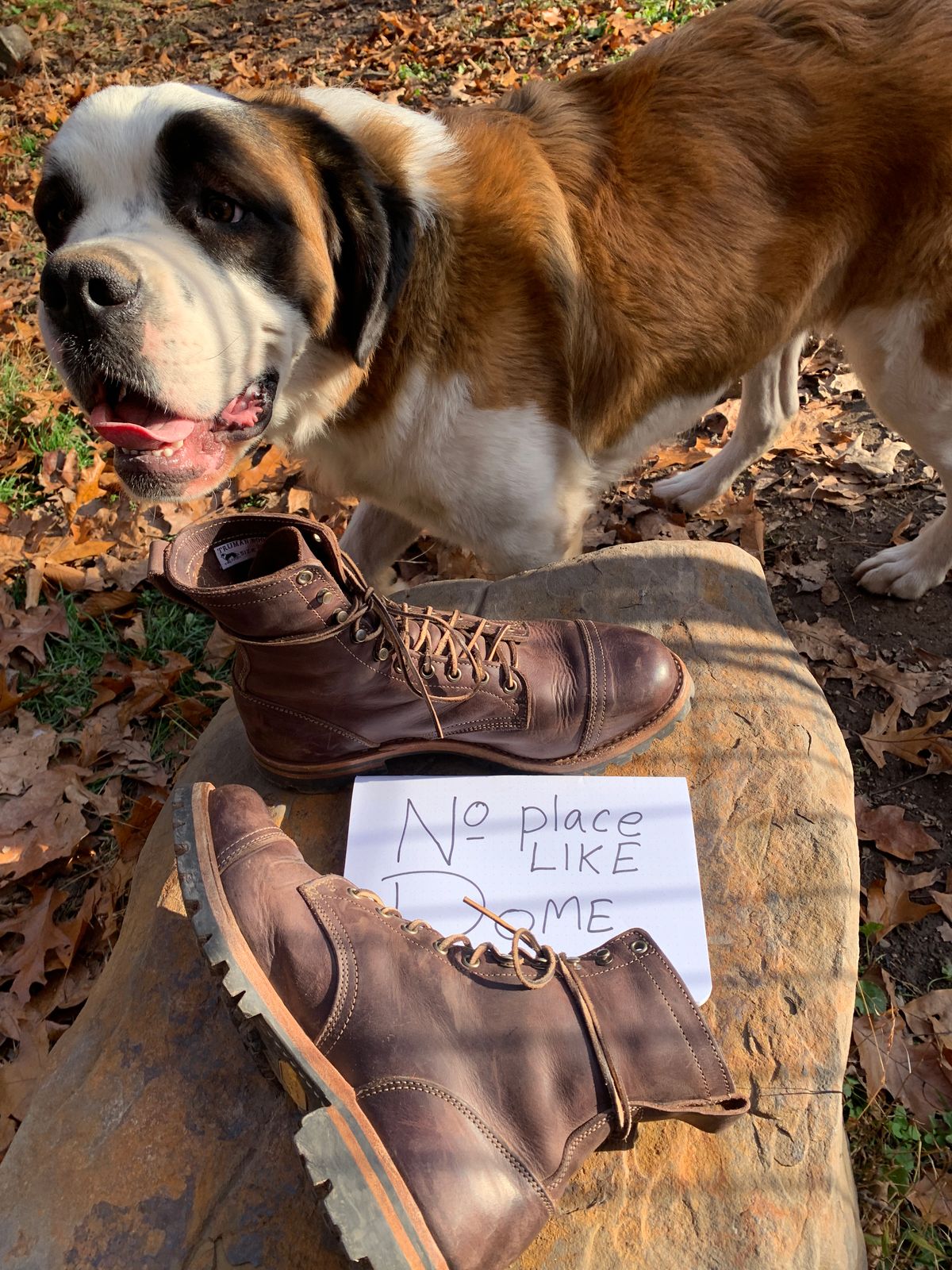 Photo by tinytopey on November 2, 2022 of the Truman Upland Boot in Horween Java Predator.