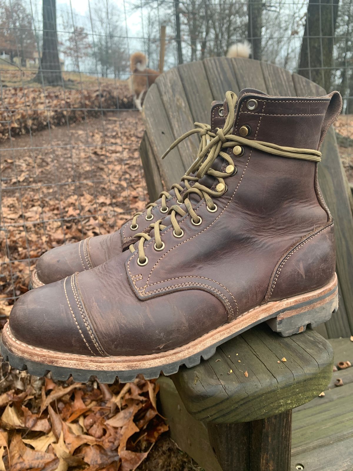 Photo by tinytopey on January 4, 2023 of the Truman Upland Boot in Horween Java Predator.