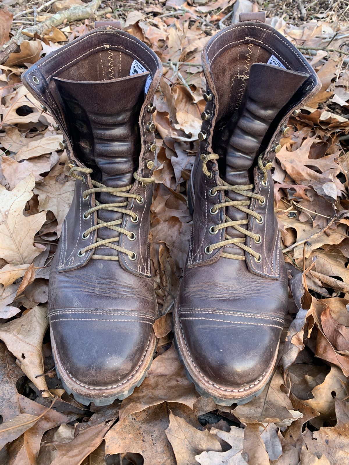 Photo by tinytopey on February 2, 2023 of the Truman Upland Boot in Horween Java Predator.
