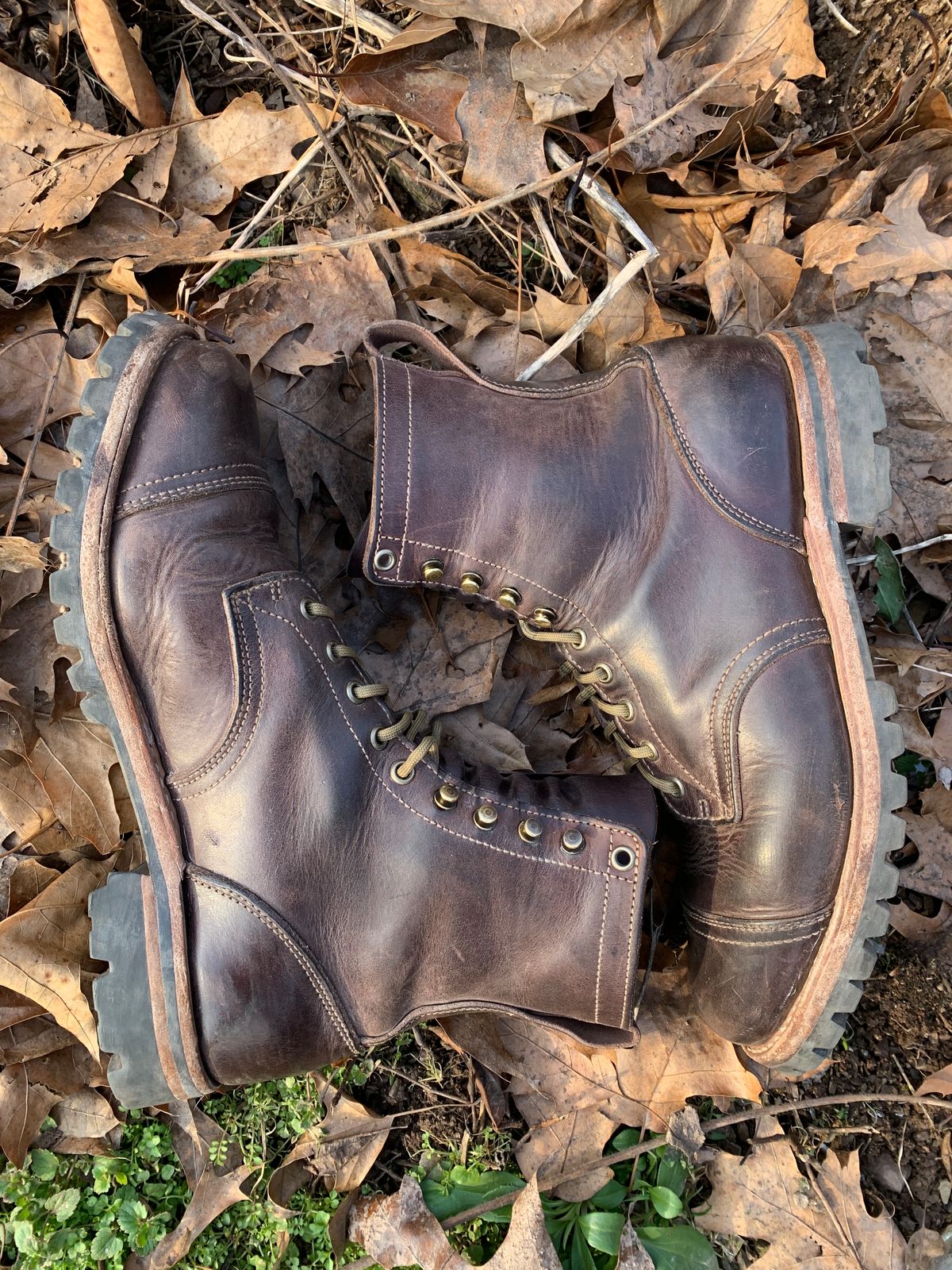 Photo by tinytopey on February 2, 2023 of the Truman Upland Boot in Horween Java Predator.